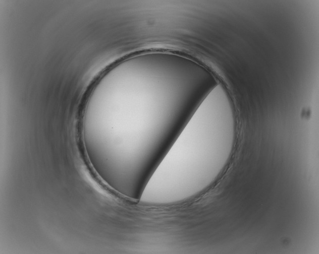 X0000115540991200911061146