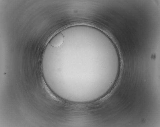 X0000115540993200911061146