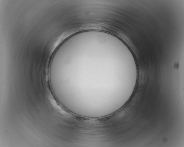 X0000115540994200911061146