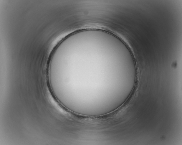 X0000115540995200911061146