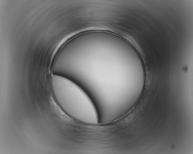 X0000115540996200911061146