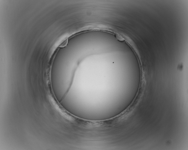 X0000115540997200911061146