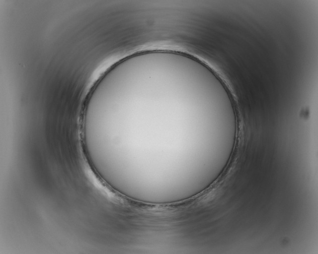 X0000115540998200911061146