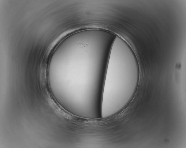 X0000115541000200911061146