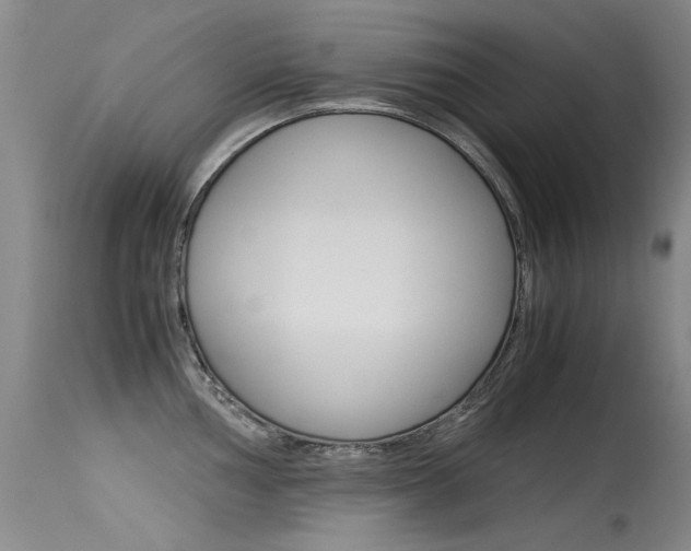 X0000115541002200911061146