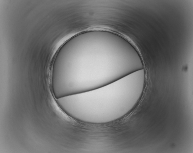 X0000115541003200911061146