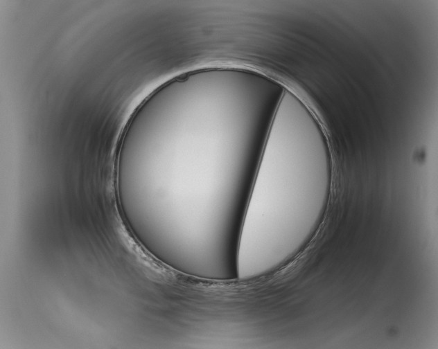 X0000115541004200911061146