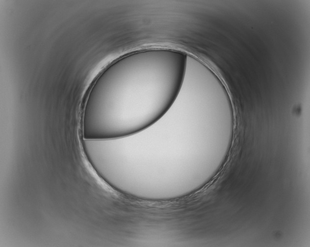 X0000115541005200911061146