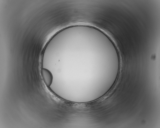 X0000115541006200911061146