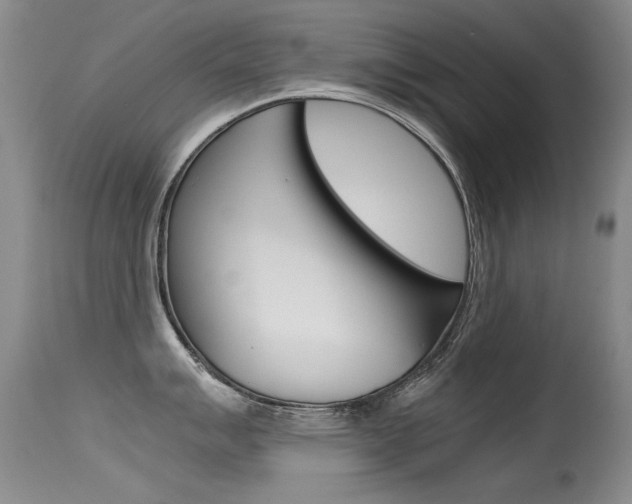X0000115541007200911061146