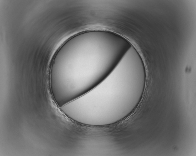 X0000115541008200911061146