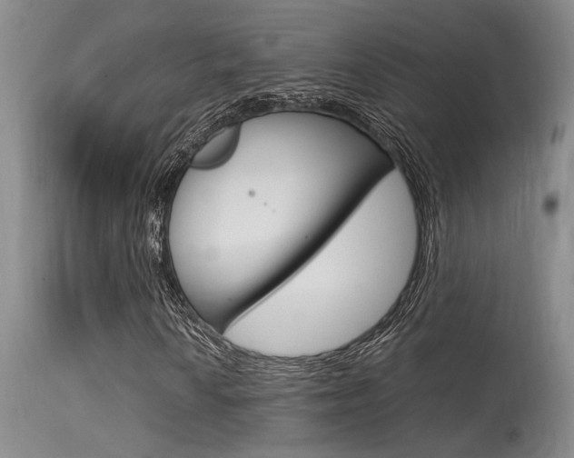 X0000115541010200911061145