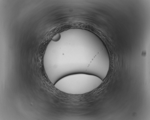 X0000115541013200911061145