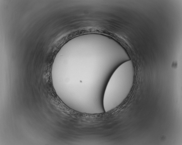 X0000115541015200911061145