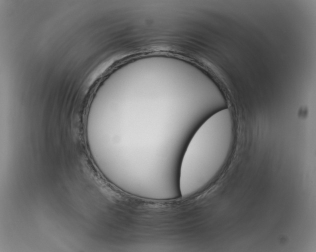 X0000115541023200911061145