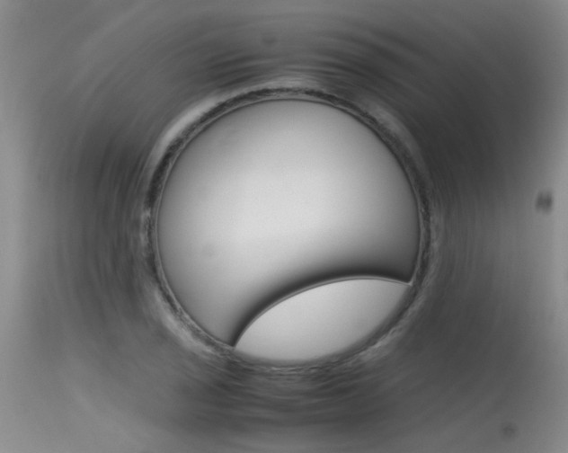 X0000115541029200911061146