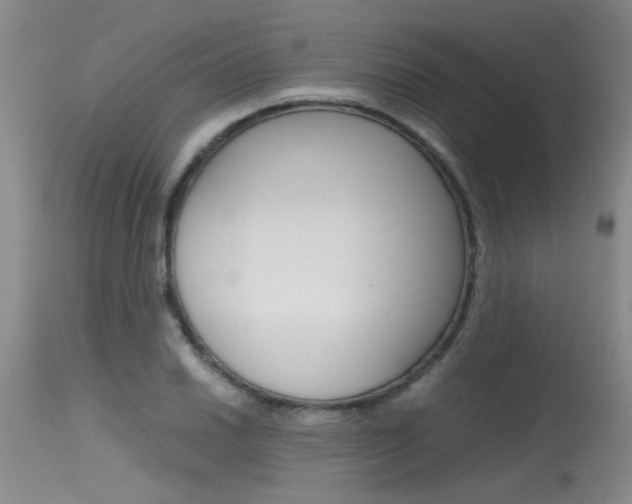 X0000115541030200911061146