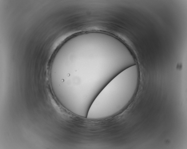 X0000115541031200911061146