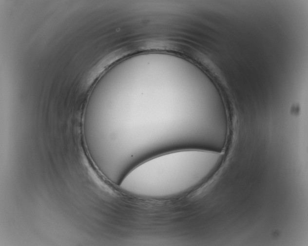 X0000115541033200911061146