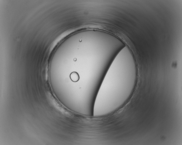 X0000115541036200911061146