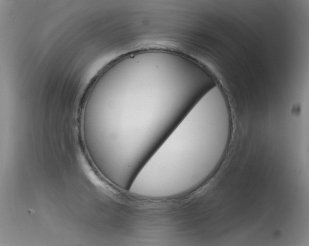 X0000115541038200911061146