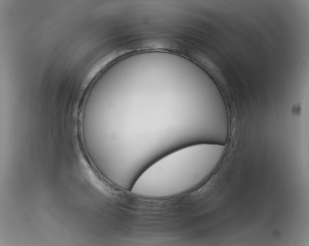 X0000115541039200911061146