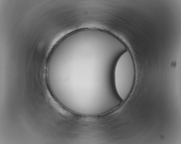X0000115541040200911061146