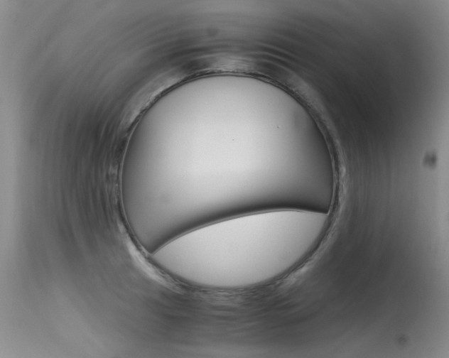 X0000115541041200911061146