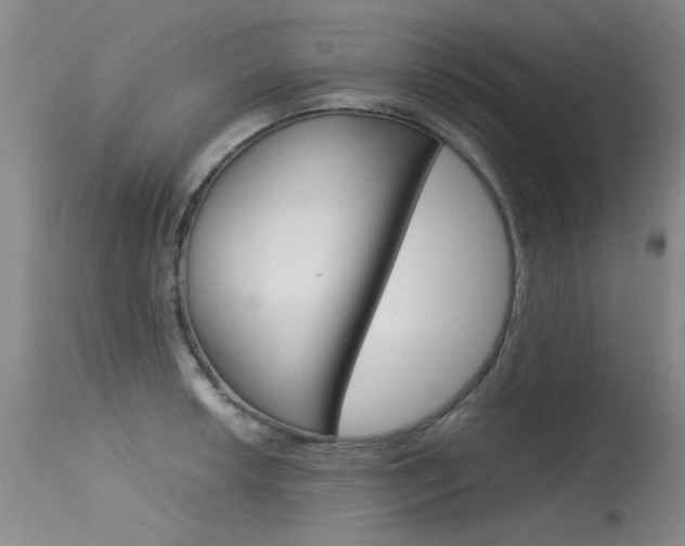 X0000115541042200911061146