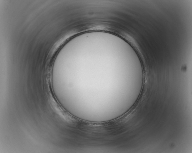 X0000115541043200911061146