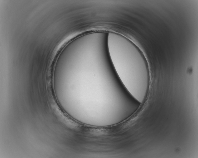 X0000115541045200911061146