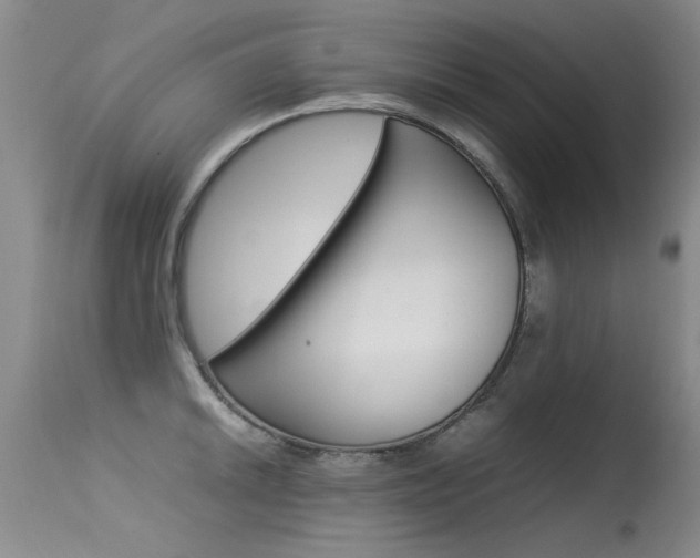 X0000115541046200911061146