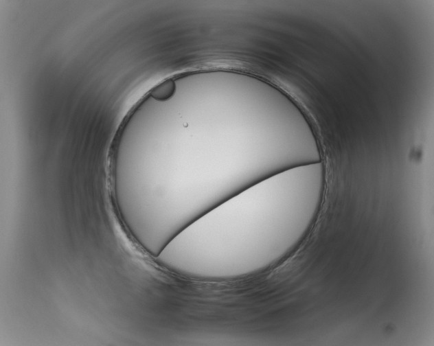 X0000115541047200911061146
