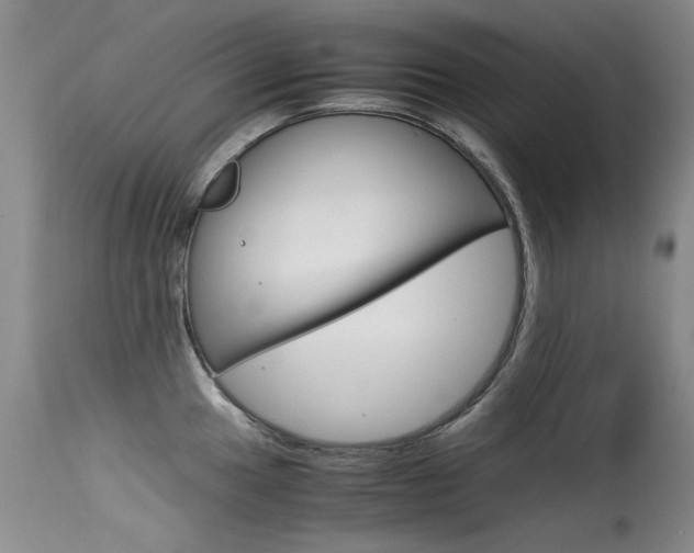 X0000115541049200911061146