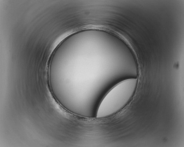 X0000115541050200911061146