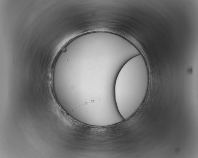 X0000115541051200911061146