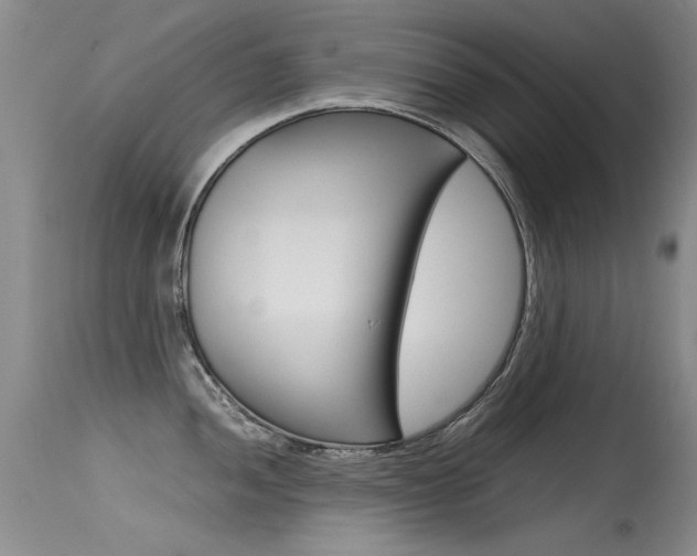 X0000115541052200911061146