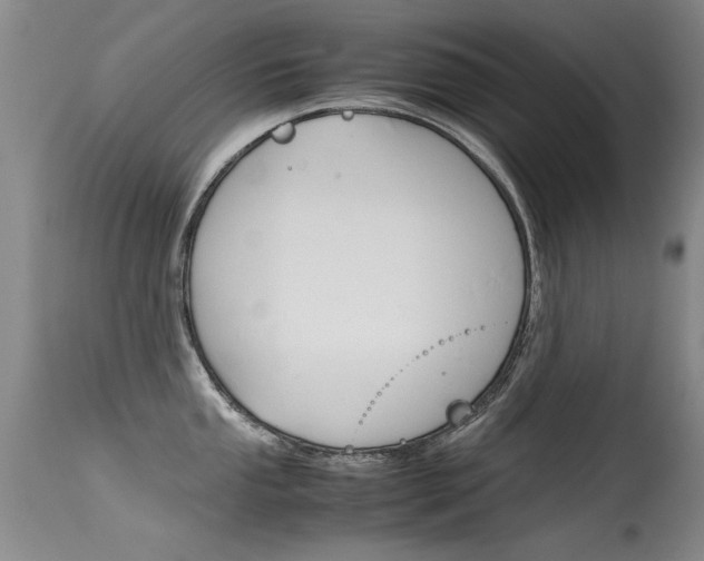 X0000115541053200911061146