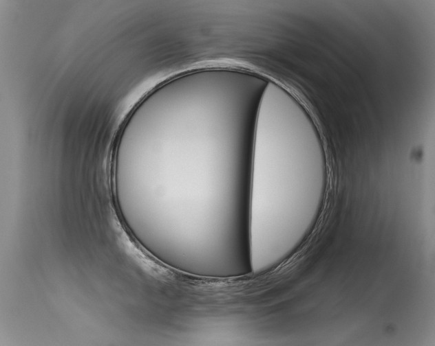 X0000115541054200911061146