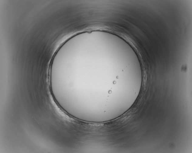 X0000115541055200911061146