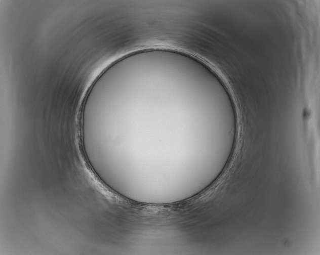 X0000115541056200911061146