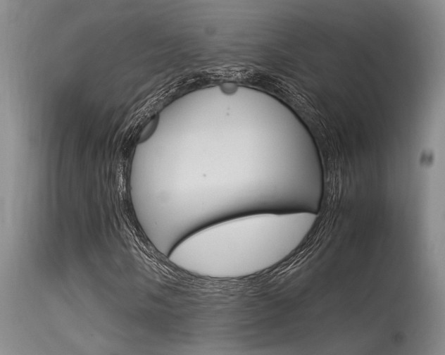 X0000115541058200911061145
