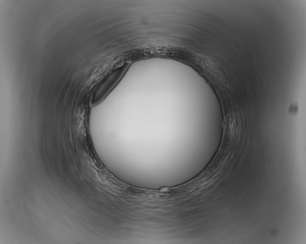 X0000115541060200911061145