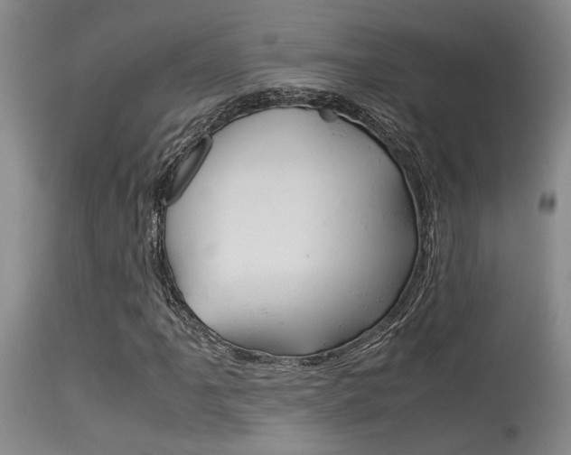 X0000115541061200911061145