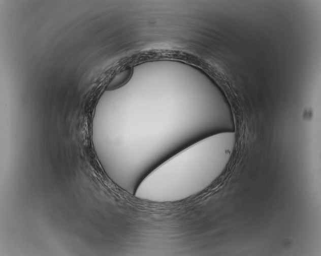 X0000115541062200911061145