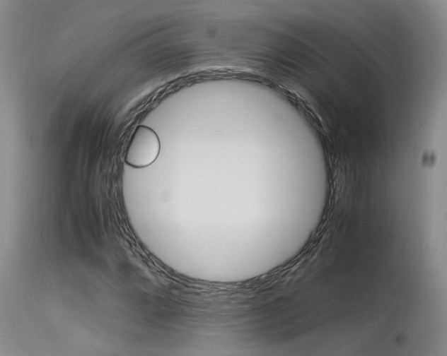 X0000115541064200911061145
