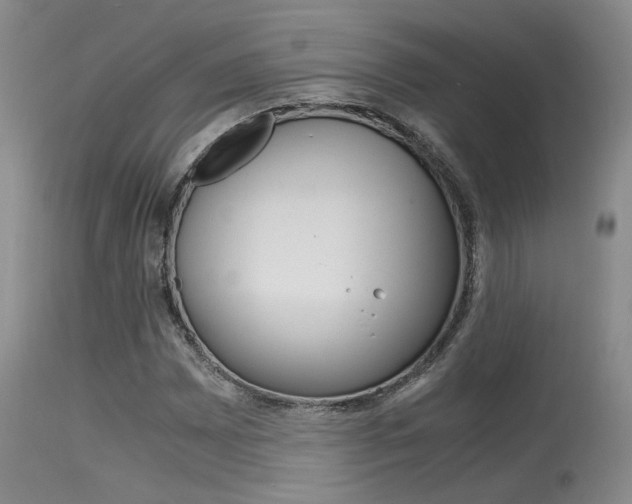 X0000115541065200911061145