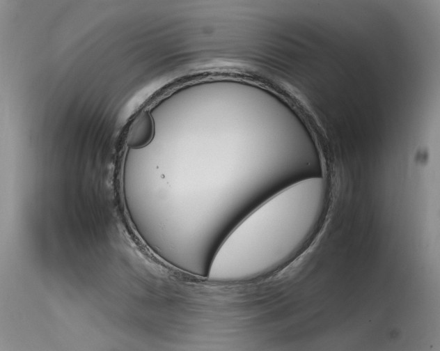 X0000115541066200911061145