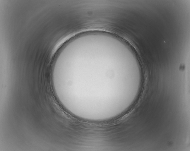 X0000115541069200911061145