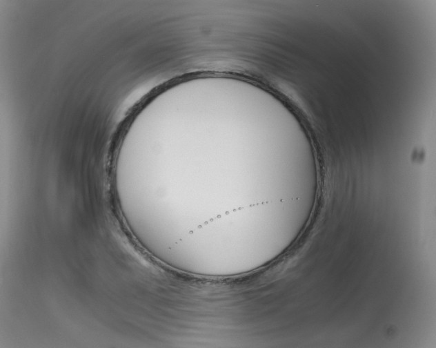 X0000115541071200911061145
